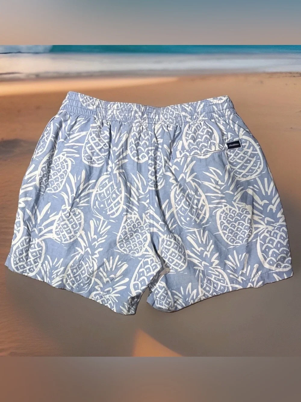 Chubbies Thigh Napples Swim Trunks Mesh Lined Pineapple Shorts 5.5” Mens Sz M